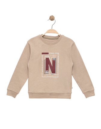 TOPTAN P.L MERRY %100 PAMUK YAZI BASKILI ERKEK ÇOCUK SWEATSHIRT