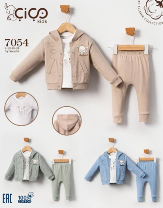 TOPTAN ERKEK BEBEK KAPŞONLU BADİLİ 3 LÜ TAKIM 9 - 24 M