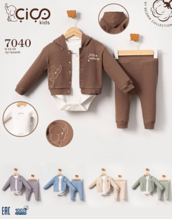 TOPTAN ERKEK BEBEK KAPŞONLU ZIBINLI 3 LÜ TAKIM 9 - 18 M