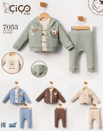 TOPTAN ERKEK BEBEK KAPŞONLU ZIBINLI 3 LÜ TAKIM 9 - 24 M