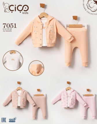 TOPTAN KIZ BEBEK KAPŞONLU BADİLİ 3 LÜ TAKIM 9 - 24 M