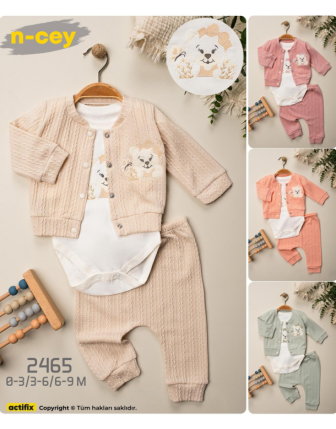 TOPTAN N - CEY KIZ BEBEK ZIBINLI 3 LÜ TAKIM 0 - 9 M